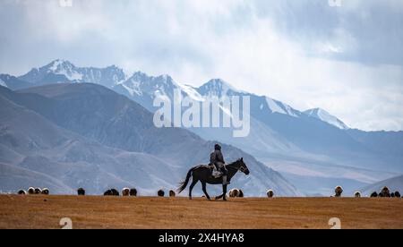 Nomadisches Leben auf einem Hochplateau, Hirte auf Pferd, Schafherde, dramatische hohe Berge, Tian Shan Berge, Jety Oguz, Kirgisistan Stockfoto