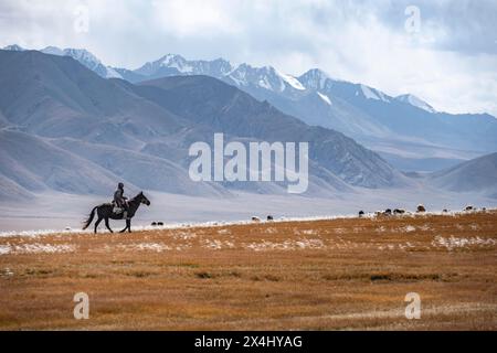 Nomadisches Leben auf einem Hochplateau, Hirte auf Pferd, Schafherde, dramatische hohe Berge, Tian Shan Berge, Jety Oguz, Kirgisistan Stockfoto