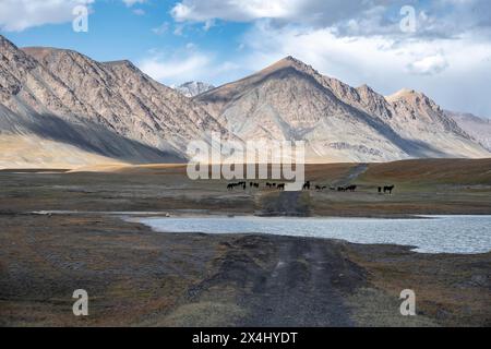 Geländewagen durch einen See, Schotterpiste auf einem Plateau, dramatische hohe Berge, Tian Shan Berge, Jety Oguz, Kirgisistan Stockfoto