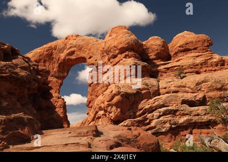 Turret Arch vom Windows Trail im Arches National Park, Utah Stockfoto