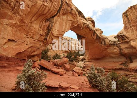 Hickman Natural Bridge im Capitol Reef National Park, Utah Stockfoto