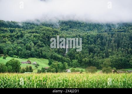 Ländliche Szene eines rustikalen kleinen Dorfes am Wasserfall Berg und Maisfeld in der Schweiz Stockfoto