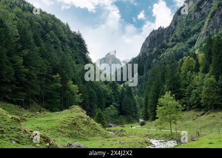 Ruhige Landschaft im üppigen Bergtal der Schweizer Alpen im Seealpsee bei Appenzell, Schweiz Stockfoto