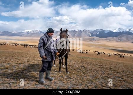 Nomadisches Leben auf einem Hochplateau, Hirte auf Pferd, Schafherde, dramatische hohe Berge, Tian Shan Berge, Jety Oguz, Kirgisistan Stockfoto