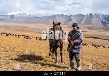 Nomadisches Leben auf einem Hochplateau, Hirte auf Pferd, Schafherde, dramatische hohe Berge, Tian Shan Berge, Jety Oguz, Kirgisistan Stockfoto