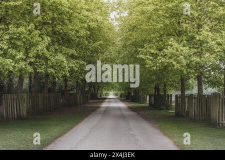 Dunham Massey National Trust Hotel und Gärten in der Nähe von Altrincham in Cheshire Stockfoto