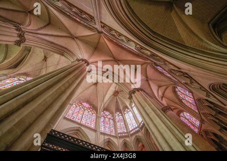 Chorgewölbe, omanisch-gotische Kathedrale Saint-Julien du Mans, Le Mans, Departement Sarthe, Pays de la Loire, Frankreich Stockfoto