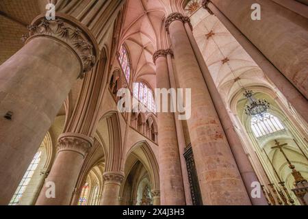 Chorgewölbe, omanisch-gotische Kathedrale Saint-Julien du Mans, Le Mans, Departement Sarthe, Pays de la Loire, Frankreich Stockfoto