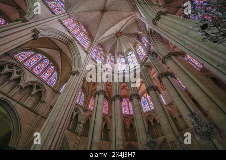 Chorgewölbe, omanisch-gotische Kathedrale Saint-Julien du Mans, Le Mans, Departement Sarthe, Pays de la Loire, Frankreich Stockfoto