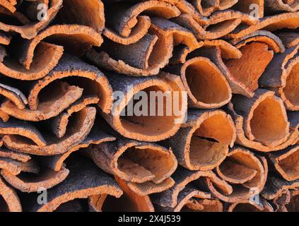 Portugal, Region Alentejo. Kürzlich geerntete Korkeichen-Rinde, die bei Sonnenschein trocknet. (Unverarbeiteter Kork) natürliche, nachhaltige Ressource. Selektiver Fokus. Stockfoto