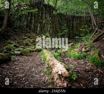 Naturwunder, Basaltsäulen, Steinbildung, Steinbruch im Wald, Rhön, Franken Stockfoto