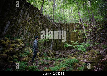 Naturwunder, Basaltsäulen, Steinbildung, Steinbruch im Wald, Rhön, Franken Stockfoto