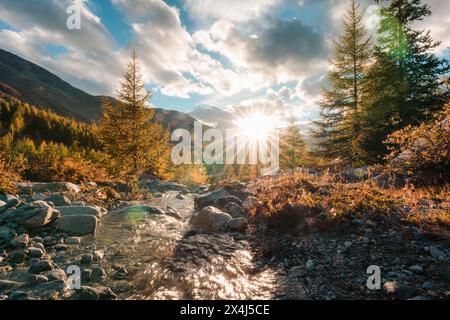 Wunderschöne Landschaft mit Sonnenuntergang über dem Matterhorn mit Wasserfall, der im herbstlichen Kiefernwald um fünf Seen bei Zermatt, Schweiz, fließt Stockfoto