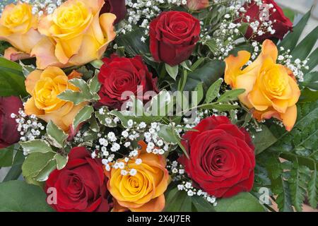 Rote und gelbe Rosen Blumenstrauß gypsophila, Deutschland, Mönchengladbach Stockfoto