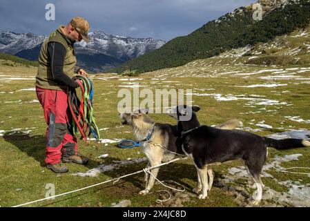 Das Montgarri Outdoor Team mit Hunden im Plan de Beret bereitet die Schlittenfahrt und die Saison vor (Naut Aran, Aran Valley, Lleida, Katalonien, Spanien) Stockfoto