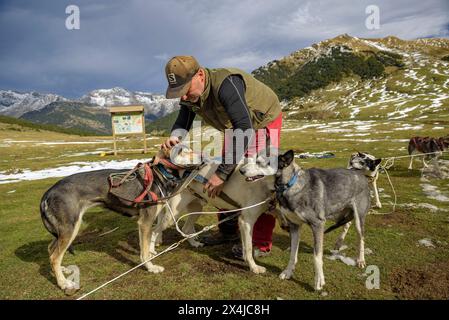 Das Montgarri Outdoor Team mit Hunden im Plan de Beret bereitet die Schlittenfahrt und die Saison vor (Naut Aran, Aran Valley, Lleida, Katalonien, Spanien) Stockfoto