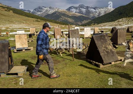 Das Montgarri Outdoor Team mit Hunden im Plan de Beret bereitet die Schlittenfahrt und die Saison vor (Naut Aran, Aran Valley, Lleida, Katalonien, Spanien) Stockfoto