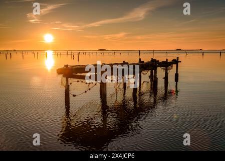 Wintersonnenaufgang in der Bucht von Alfacs im Ebro-Delta, vor einigen Fischernetzen (Tarragona, Katalonien, Spanien) ESP: Amanecer invernal en el Delta Stockfoto