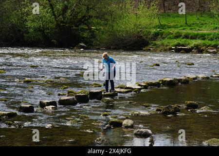 Stepping Stones über den Fluss Wharfe bei Hebden Hippings (unterhalb Hebden) in Wharfedale, North Yorshire, England, Großbritannien Stockfoto