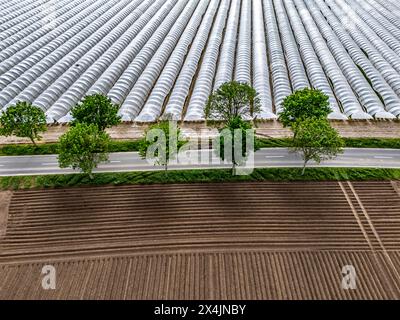 Landwirtschaft, große Flächen mit Folientunnel, für den Anbau von Erdbeeren, frisch bestellte Felder, südlich von Lövenich, gehören zu Erkelenz, im Kreis Heinsberg, Folientunnel *** Landwirtschaft, große Flächen mit Folientunnel, für den Anbau von Erdbeeren, frisch bewirtschaftete Felder, südlich von Lövenich, gehört zu Erkelenz, im Landkreis Heinsberg, Folientunnel Stockfoto