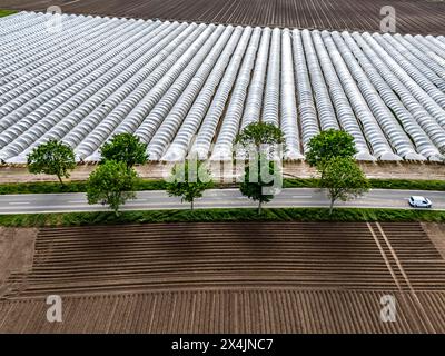 Landwirtschaft, große Flächen mit Folientunnel, für den Anbau von Erdbeeren, frisch bestellte Felder, südlich von Lövenich, gehören zu Erkelenz, im Kreis Heinsberg, Folientunnel *** Landwirtschaft, große Flächen mit Folientunnel, für den Anbau von Erdbeeren, frisch bewirtschaftete Felder, südlich von Lövenich, gehört zu Erkelenz, im Landkreis Heinsberg, Folientunnel Stockfoto