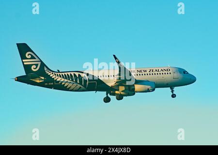 Fluggesellschaften und Flugzeuge von Neuseeland Stockfoto