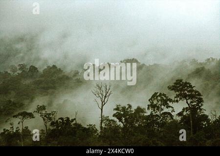 Regenwald am Fuße des Mount Tangkoko und Mount Duasudara (Dua Saudara) in Bitung, Nord-Sulawesi, Indonesien. Diese Landschaft schützt die Artenvielfalt, aber der Klimawandel ist in alarmierender Geschwindigkeit bedroht. Der Tangkoko-Wald leidet derzeit unter einem Temperaturanstieg um bis zu 0,2 Grad Celsius pro Jahr, wie ein Team von Primatologen unter der Leitung von Marine Joly berichtet, wobei auch die Fruchtfülle insgesamt geringer ist. Die International Union for Conservation of Nature (IUCN) sagt, dass steigende Temperaturen zu ökologischen, verhaltensbezogenen und physiologischen Veränderungen bei Wildtieren und... Stockfoto