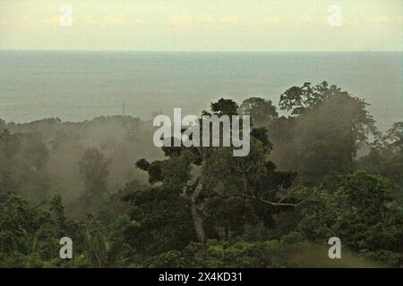 Der Tieflandwald im Hintergrund des Meeres wurde von einem bewachsenen Gebiet in der Nähe des Mount Tangkoko und des Mount Duasudara (Dua Saudara) in Bitung, Nord-Sulawesi, Indonesien, fotografiert. Diese Landschaft ist mit dem Naturschutzgebiet Tangkoko verbunden und schützt die biologische Vielfalt, aber der Klimawandel ist mit alarmierender Geschwindigkeit bedroht. Der Tangkoko-Wald leidet derzeit unter einem Temperaturanstieg um bis zu 0,2 Grad Celsius pro Jahr, wie ein Team von Primatologen unter der Leitung von Marine Joly berichtet, wobei auch die Fruchtfülle insgesamt geringer ist. Die Internationale Union für Naturschutz (IUCN) sagt, dass steigende Temperaturen... Stockfoto