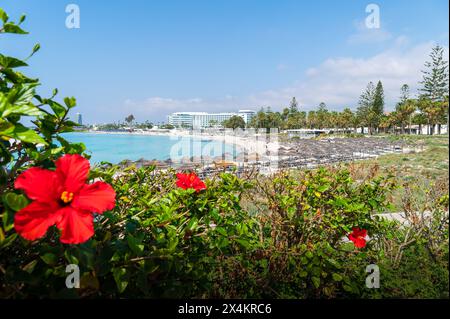 Landschaft mit Nissi Strand, Ayia Napa, Zypern Insel Stockfoto