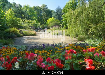 Wunderschöne Pflanzen im Elgin Bibelgarten, in der Nähe der Kathedrale, Elgin. Elgin Biblical Garden, King Street, Elgin, Moray, Highlands, Schottland, Großbritannien Stockfoto