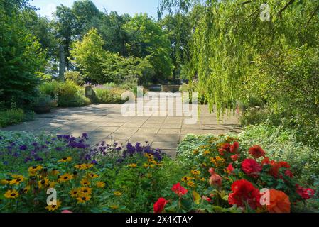 Wunderschöne Pflanzen im Elgin Bibelgarten, in der Nähe der Kathedrale, Elgin. Elgin Biblical Garden, King Street, Elgin, Moray, Highlands, Schottland, Großbritannien Stockfoto