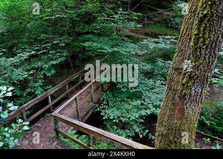 Brücke in Taramundi, Asturien, Spanien Stockfoto