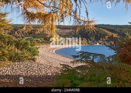 Blick nach Osten auf das Dorf Dores am Ostufer, am Ufer von Loch Ness. Kräftige Herbstfarben. Dores, Highland, Schottland, Großbritannien Stockfoto