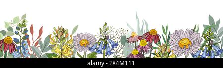 Wilde blühende Wiesenblumen und Kräuter umranden. Stock Vektor