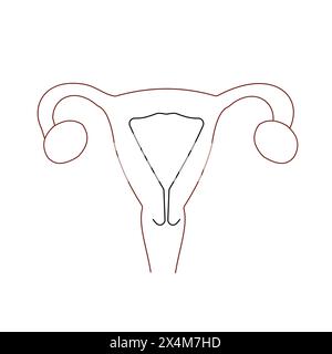 Zeilensymbol der weiblichen Fortpflanzungsorgane. Weibliches Fortpflanzungsorgan, Uterus, Eierstöcke. Flaches Vektorsymbol Stock Vektor
