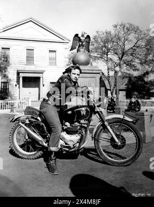 MARLON BRANDO auf Triumph Motorrad in THE WILD ONE 1953 Regisseur LASLO BENEDEK basierend auf einer Geschichte von Frank Rooney Musik Leith Stevens Stanley Kramer Productions / Columbia Pictures Stockfoto