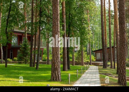 Drei geräumige Holzhäuser in einem malerischen Kiefernwald, umgeben von hohen grünen Bäumen. Ein Steinweg schlängelt sich durch die ruhige Landschaft, le Stockfoto