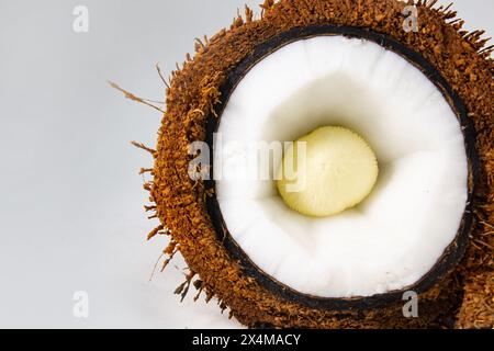 Eine mit Kokos- oder Kokosfasern bedeckte Kokosnuss, die weißes Fleisch oder Kokosnussfleisch und Kokosnussembryo enthält, in Hälften geschnitten. Stockfoto