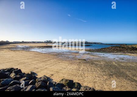 Trearddur Bay, Beach, Anglesey, North Wales, Großbritannien Stockfoto