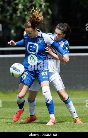 Gent, Belgien. Mai 2024. KAA Gent Ladies's Amber Maximus und YLA's Febe Vanhaecke kämpfen um den Ball während eines Fußballspiels zwischen KAA Gent Ladies und Club YLA am Samstag, 4. Mai 2024, in der Chillax Arena in Gent, am 7. Tag der Play-off-Gruppe A des Super League Women's Competition. BELGA FOTO KURT DESPLENTER Credit: Belga Nachrichtenagentur/Alamy Live News Stockfoto