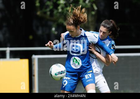 Gent, Belgien. Mai 2024. KAA Gent Ladies's Amber Maximus und YLA's Febe Vanhaecke kämpfen um den Ball während eines Fußballspiels zwischen KAA Gent Ladies und Club YLA am Samstag, 4. Mai 2024, in der Chillax Arena in Gent, am 7. Tag der Play-off-Gruppe A des Super League Women's Competition. BELGA FOTO KURT DESPLENTER Credit: Belga Nachrichtenagentur/Alamy Live News Stockfoto