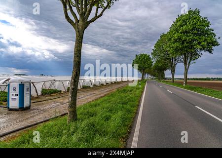 Landwirtschaft, große Flächen mit Folientunnel, für den Anbau von Erdbeeren, südlich von Lövenich, gehört zu Erkelenz im Landkreis Heinsberg, Stockfoto