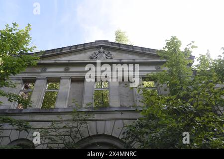 Das Schloss Dwasieden ist heute nur noch eine Ruine. Es wurde in den Jahren 1873 bis 1877 im Auftrag von Adolph von Hansemann, einer der reichtsten Männer der Bismarckzeit erbaut. Von dem Prachtbau bestehen aufgrund der Sprengung im Jahr 1948 durch die Russn nur noch reste des Gebäudes sowie der 1997 ausgebrannte Marsstall. Gert von Oertzen, der Enkel und Erbe Hannemanns, verkaufte das Schloss in den 1930er Jahren an die Stadt Sassnitz, von der es 1935 die Kriegsmarine übernahm und zu einem Teil Ihrer Schiffsartillerieschule Entfernungsmeßschule machte. *** Schloss Dwasieden ist jetzt nur noch eine Ruine Stockfoto