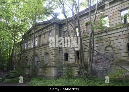 Das Schloss Dwasieden ist heute nur noch eine Ruine. Es wurde in den Jahren 1873 bis 1877 im Auftrag von Adolph von Hansemann, einer der reichtsten Männer der Bismarckzeit erbaut. Von dem Prachtbau bestehen aufgrund der Sprengung im Jahr 1948 durch die Russn nur noch reste des Gebäudes sowie der 1997 ausgebrannte Marsstall. Gert von Oertzen, der Enkel und Erbe Hannemanns, verkaufte das Schloss in den 1930er Jahren an die Stadt Sassnitz, von der es 1935 die Kriegsmarine übernahm und zu einem Teil Ihrer Schiffsartillerieschule Entfernungsmeßschule machte. *** Schloss Dwasieden ist jetzt nur noch eine Ruine Stockfoto