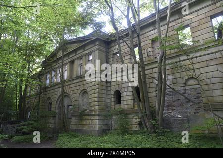 Das Schloss Dwasieden ist heute nur noch eine Ruine. Es wurde in den Jahren 1873 bis 1877 im Auftrag von Adolph von Hansemann, einer der reichtsten Männer der Bismarckzeit erbaut. Von dem Prachtbau bestehen aufgrund der Sprengung im Jahr 1948 durch die Russn nur noch reste des Gebäudes sowie der 1997 ausgebrannte Marsstall. Gert von Oertzen, der Enkel und Erbe Hannemanns, verkaufte das Schloss in den 1930er Jahren an die Stadt Sassnitz, von der es 1935 die Kriegsmarine übernahm und zu einem Teil Ihrer Schiffsartillerieschule Entfernungsmeßschule machte. *** Schloss Dwasieden ist jetzt nur noch eine Ruine Stockfoto