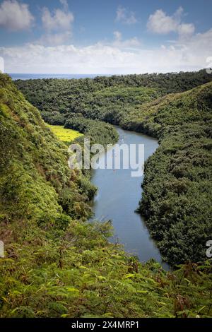 Kajakfahrer fahren auf dem Wailua River, der zur Ostküste von Kauai, Hawaii, fließt. Stockfoto