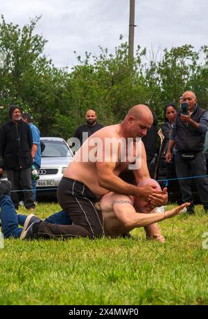 Malomirovo Strandja Berge Bulgarien 4. Mai 2024: Bürgermeister kehrt den nationalen Wrestling-Sport zurück nach 8 Jahren, Gewitter, die lange genug für die Veranstaltung gehalten wurden. Es ist einzigartig im Stil und seine Jahrhunderte alt und voller Geschichte. Wrestling ist eine der ältesten Formen des Kampfsports. Die Ursprünge des Wrestlings reichen etwa 14.000 Jahre zurück in jedem ländlichen Dorf in Bulgarien findet jährlich ein Kulturfest mit Ringen und einem abendlichen Tanz statt, bei dem die traditionellen Kulturtänze getanzt werden. Clifford Norton Alamy Live News Stockfoto