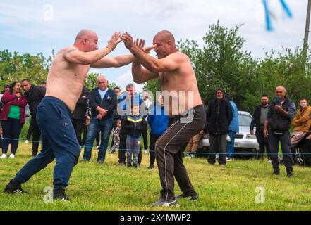 Malomirovo Strandja Berge Bulgarien 4. Mai 2024: Bürgermeister kehrt den nationalen Wrestling-Sport zurück nach 8 Jahren, Gewitter, die lange genug für die Veranstaltung gehalten wurden. Es ist einzigartig im Stil und seine Jahrhunderte alt und voller Geschichte. Wrestling ist eine der ältesten Formen des Kampfsports. Die Ursprünge des Wrestlings reichen etwa 14.000 Jahre zurück in jedem ländlichen Dorf in Bulgarien findet jährlich ein Kulturfest mit Ringen und einem abendlichen Tanz statt, bei dem die traditionellen Kulturtänze getanzt werden. Clifford Norton Alamy Live News Stockfoto