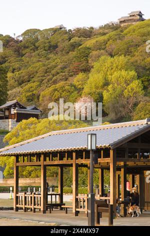 Japan, Shikoku, Matsuyama, Castle Hill, Stockfoto