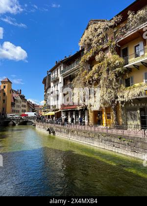 Annecy, Haute-Savoie, Frankreich: Riesige weiße Glyzinien auf einem Gebäude in der Altstadt, Skyline mit kristallklarem Wasser eines der Kanäle des Thiou-Flusses Stockfoto